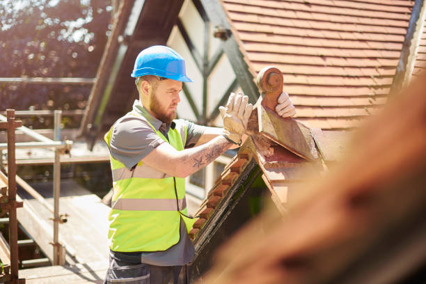 Best Roof Leak Repair  in Nevada, MO